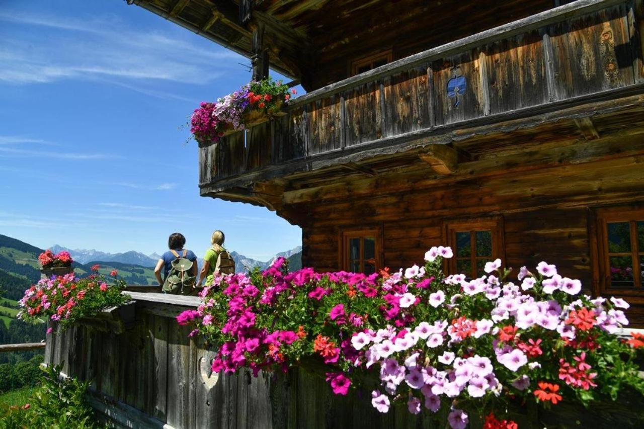 Denggnhof Villa Munster Exterior photo